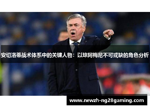 安切洛蒂战术体系中的关键人物：以琼阿梅尼不可或缺的角色分析