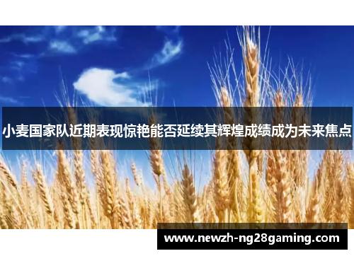小麦国家队近期表现惊艳能否延续其辉煌成绩成为未来焦点