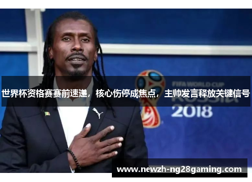 世界杯资格赛赛前速递，核心伤停成焦点，主帅发言释放关键信号